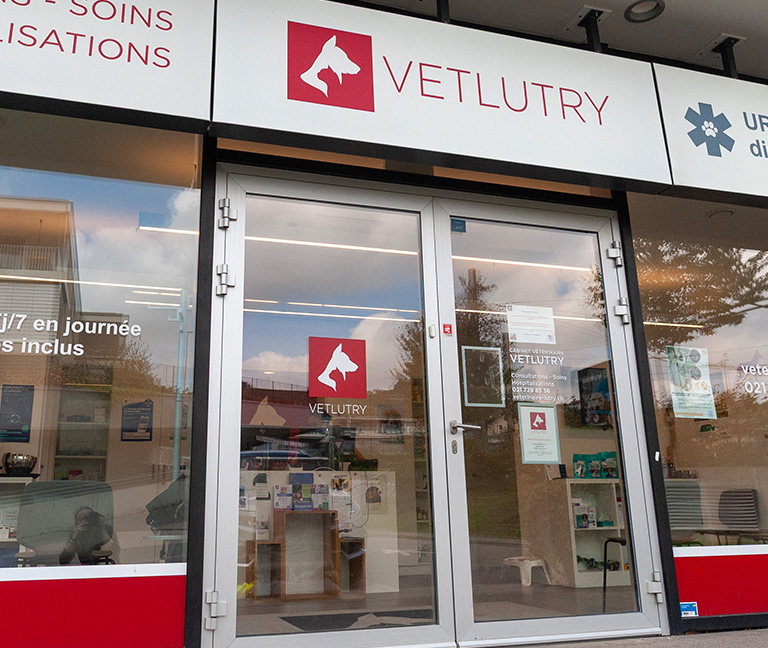 Autres-cas-fréquents-vetlutry