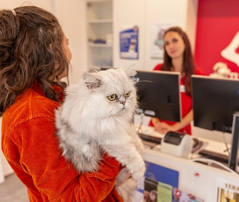 Besoin-de-plus-d&rsquo;informations-vetlutry