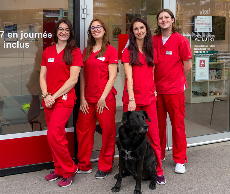 Candidature-vetlutry