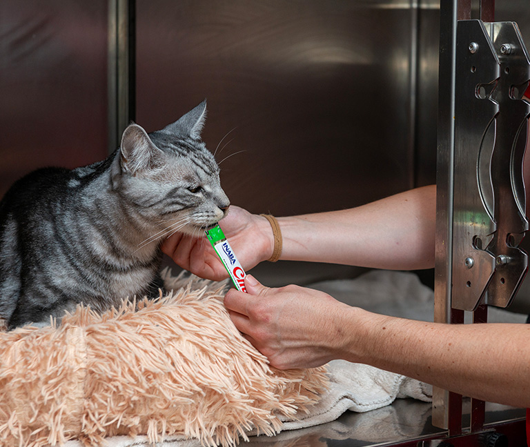 Commande-&-livraison-à-domicile-vetlutry