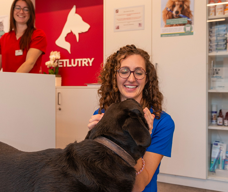 Comment-reagissent-les-animaux-vetlutry