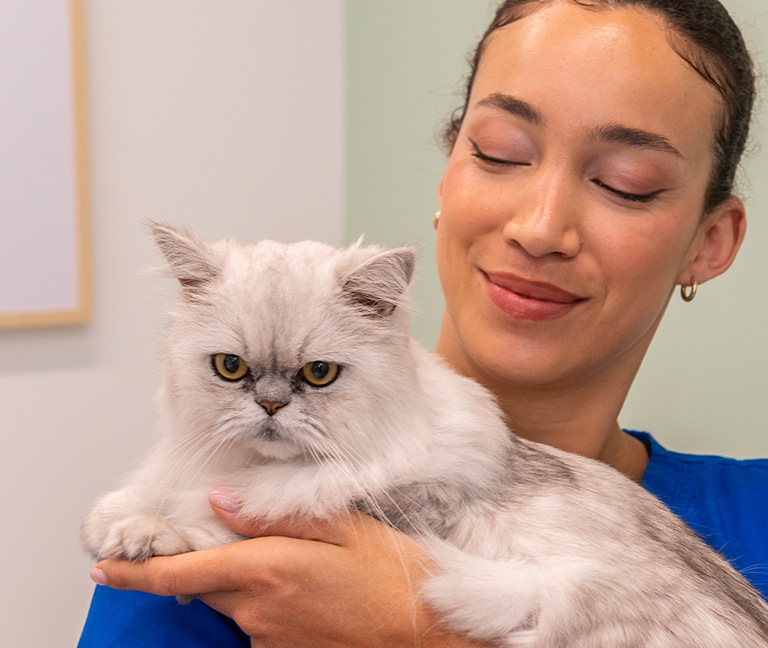 Comment-se-deroule-une-séance-vetlutry