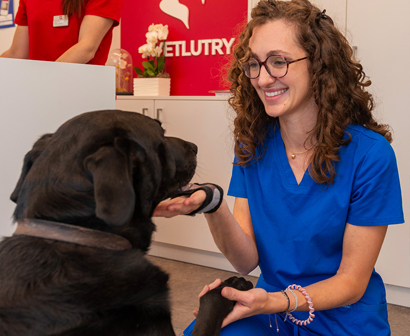 Consultations-et-hospitalisations-vetlutry