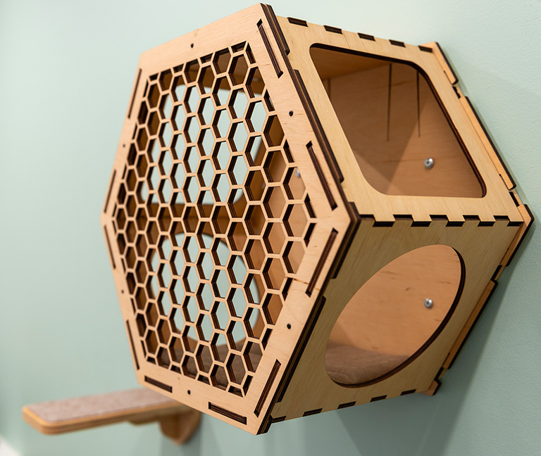 Contactez-nous pour un conseil nutritionnel-vetlutry