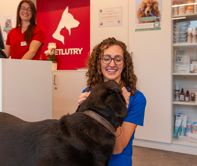 Des-opportunites-variees-vetlutry