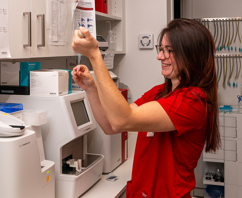 Laboratoire-analyses-vetlutry