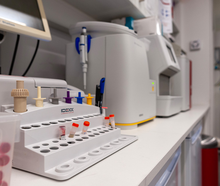 Options-de-traitement-personnalisees-vetlutry