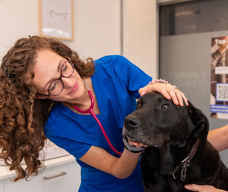 Pathologies-traitees-vetlutry