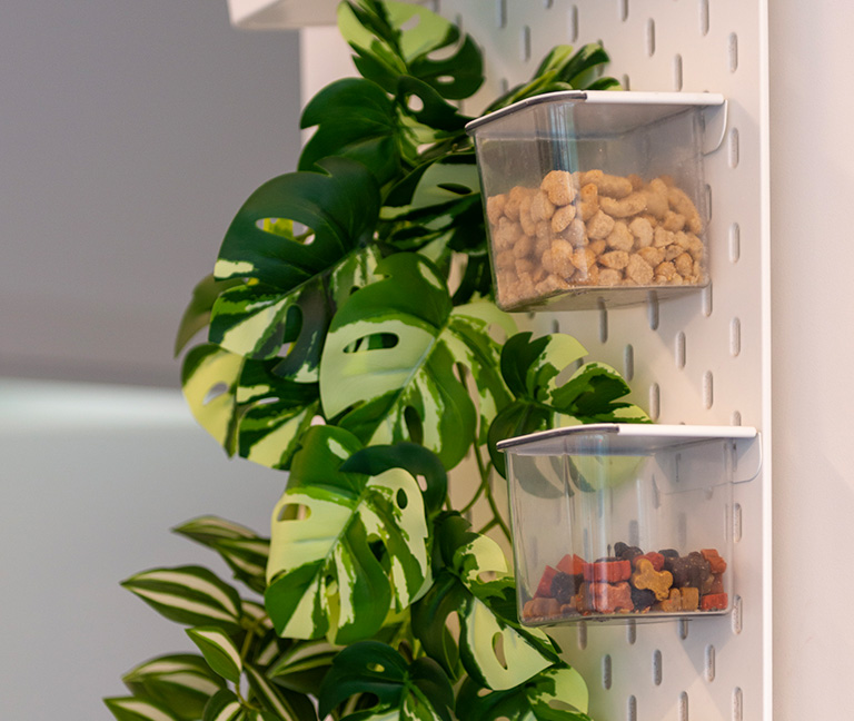 Pourquoi-choisir-VETLUTRY-pour-l&rsquo;alimentation-de-votre-animal-vetlutry