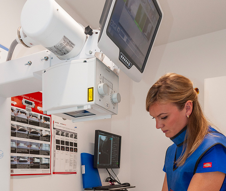 Radiographie num&eacute;rique