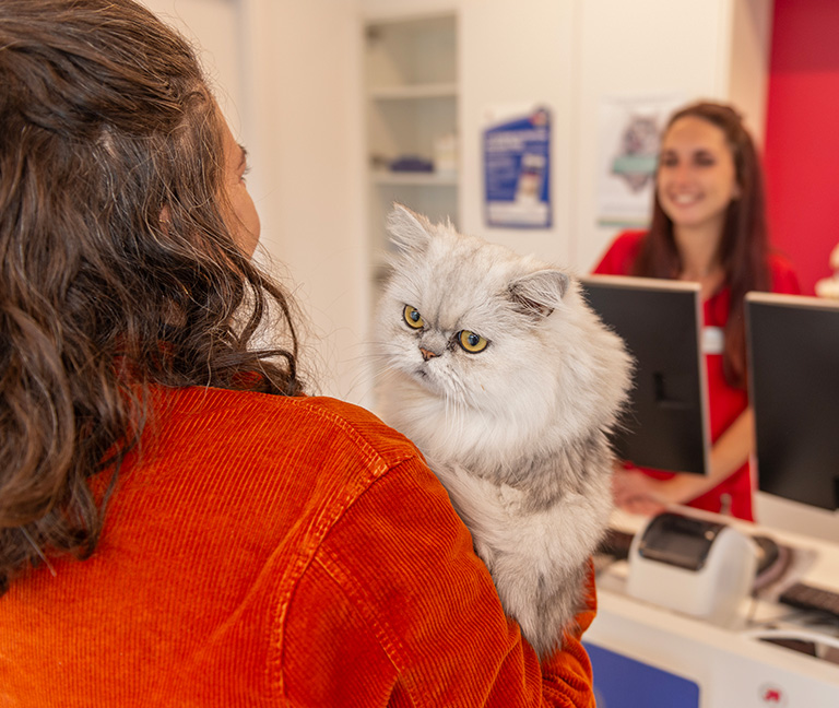 Tarifs-d’urgence-vetlutry