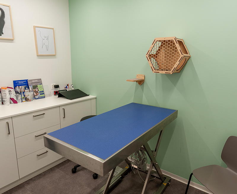 Urgences-veterinaires-vetlutry