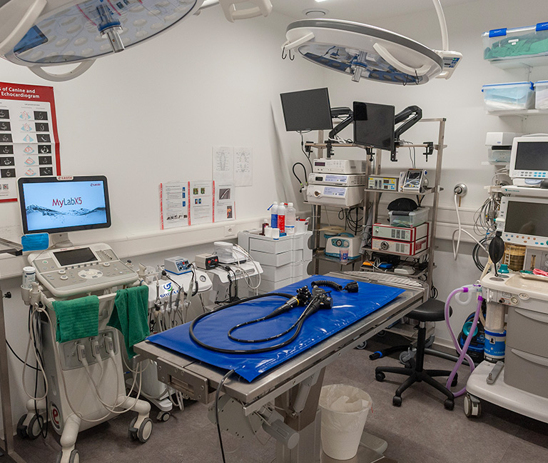 Urgences-vitales-vetlutry